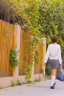 樱花草在线播放免费